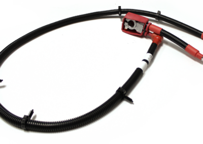 Complex Battery Cable with Lead Terminated Assemblies and Protective Coverings