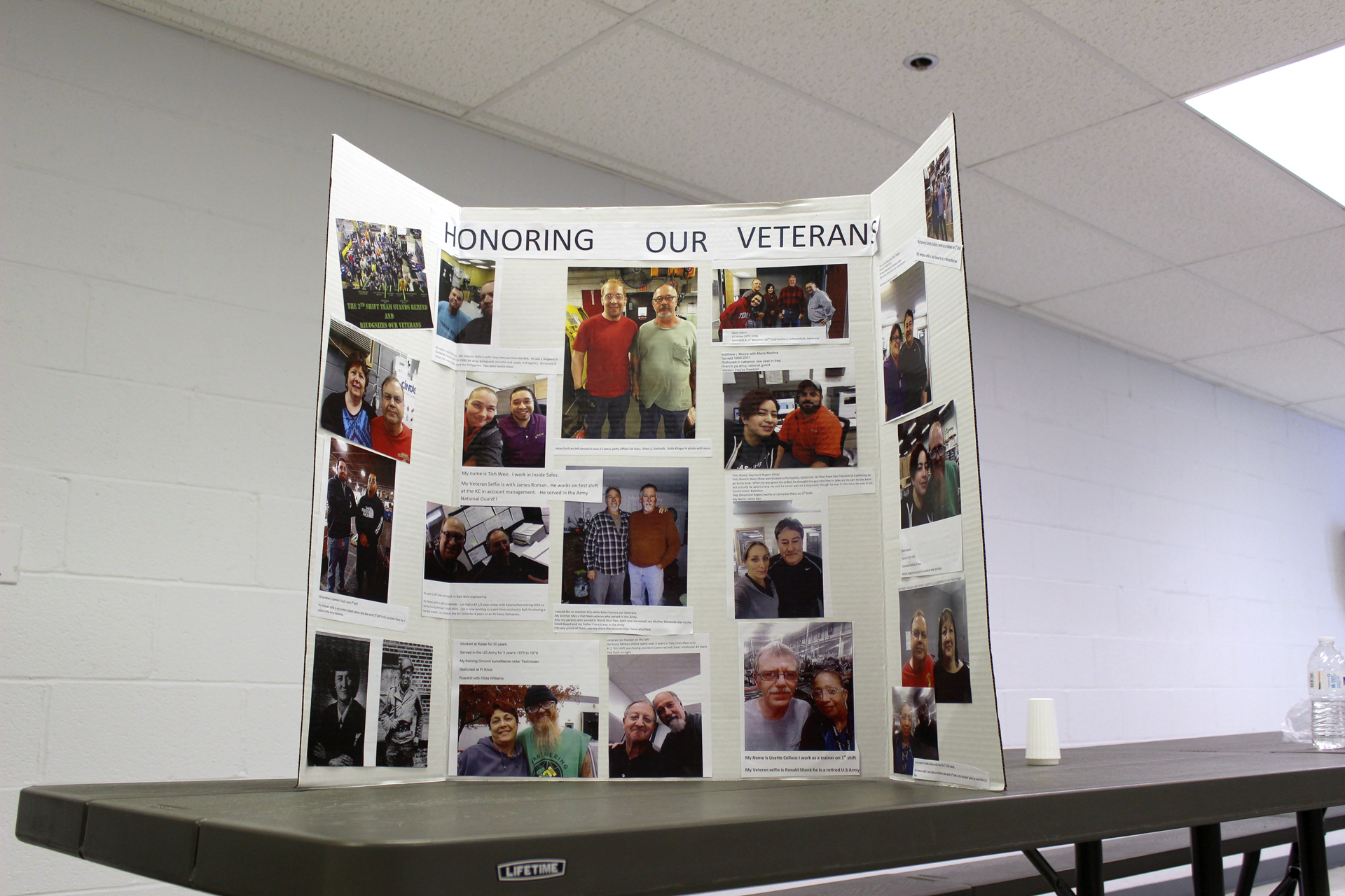 Veteran's Day Board