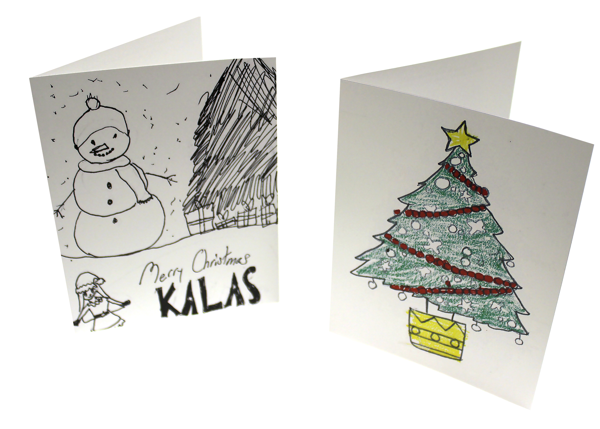 2019 Kalas Holiday Christmas Card Winners
